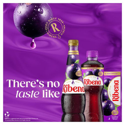 Ribena Blackcurrant 500ml bottle alternate view 2