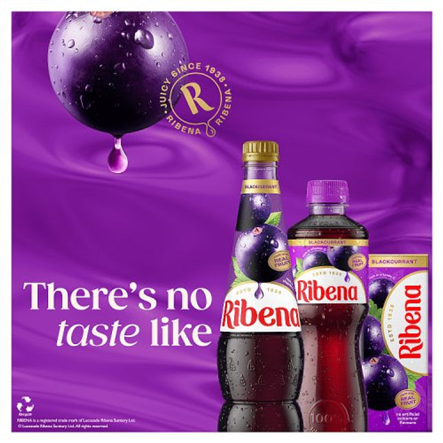 Ribena Blackcurrant 500ml bottle alternate view 2