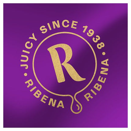 Ribena Pineapple and Passion fruit 500ml
