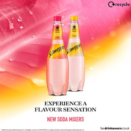 Schweppes Soda Watermelon 1L