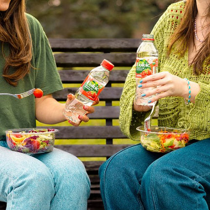 Volvic Touch of Fruit - Sugar Free Watermelon 500ml