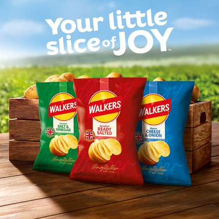 Walkers Ready Salted Potato Crisps 6 x 25g