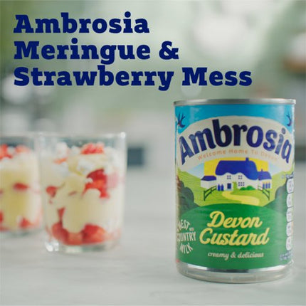 Ambrosia Original Custard 400g