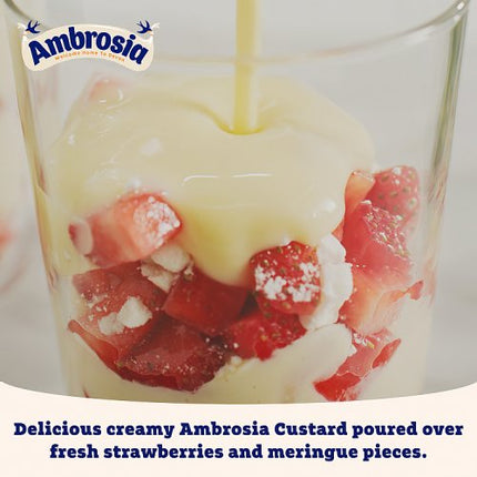 Ambrosia Original Custard 400g