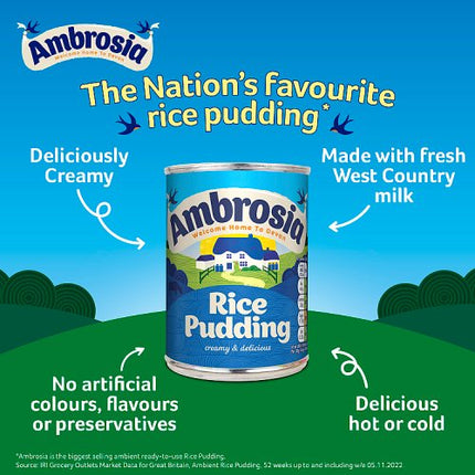 Ambrosia Rice Pudding 400g alternate view 3
