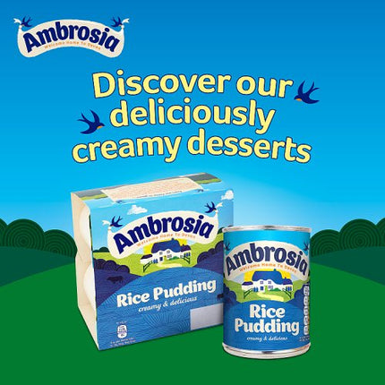 Ambrosia Rice Pudding 400g alternate view 4