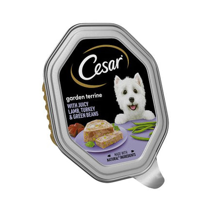 CESAR Garden Terrine Lamb Turkey Green Beans 150g