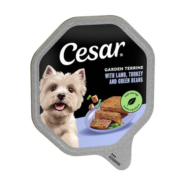 CESAR Garden Terrine Lamb Turkey Green Beans 150g