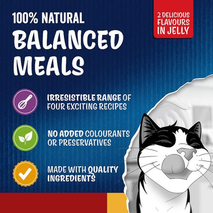 Felix Doubly Delicious Countryside Selection Wet Cat Food 12 x 85g pack alternate view 3