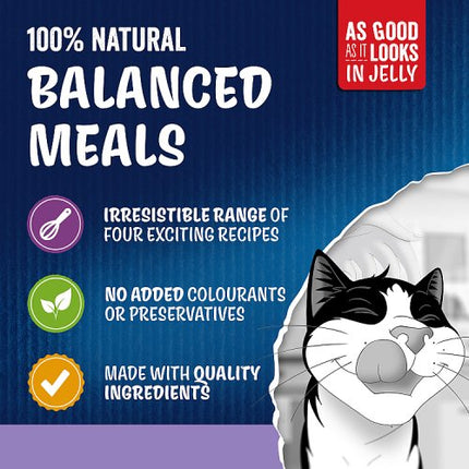 Felix As Good As it Looks Favourites Selection Wet Cat Food 12x85g £4.75