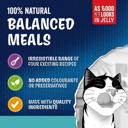 Felix As Good As It Looks Ocean Feasts Wet Cat Food 12 x 85g pack alternate view 3