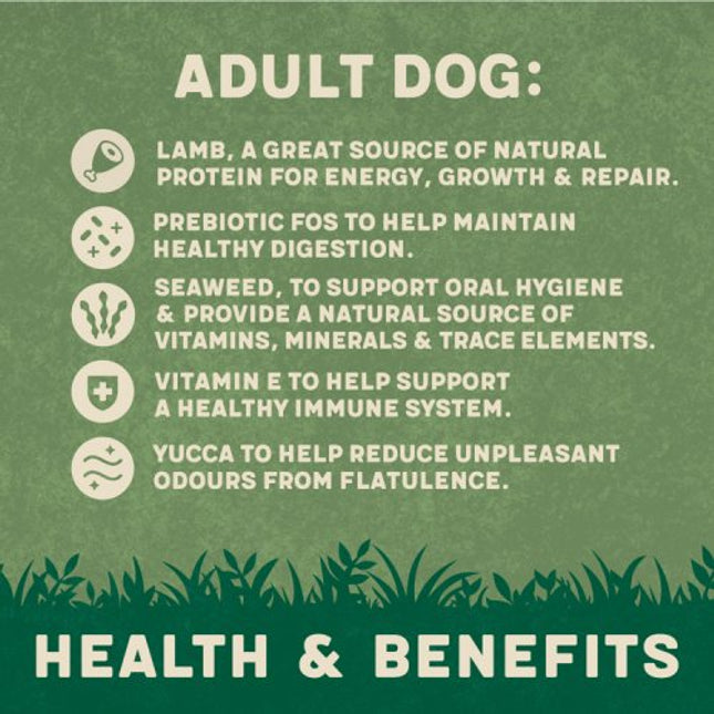 Harringtons Lamb & Rice Dry Adult Dog Food 1.7kg