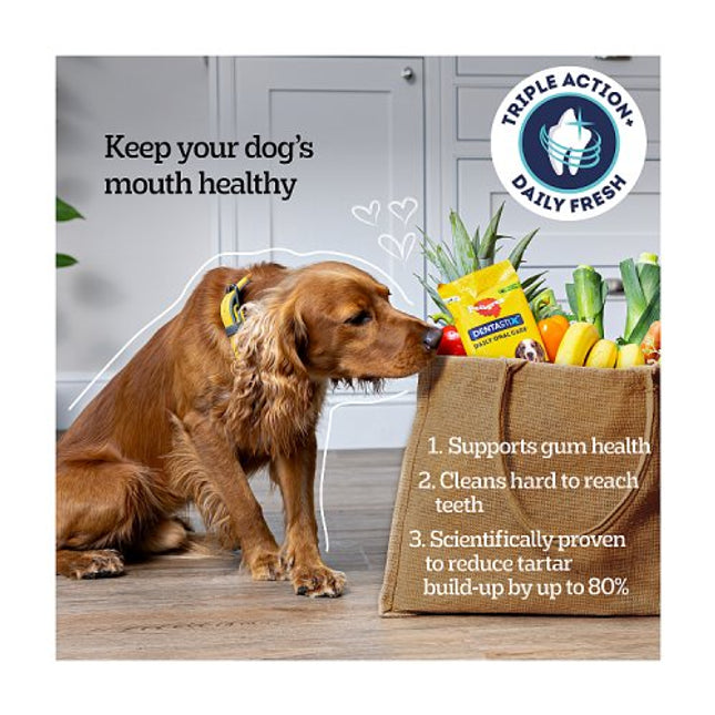 PEDIGREE Dentastix Fresh Chews Large Dog 4 Sticks