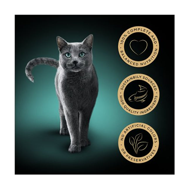 SHEBA Classics Cat Tray with Salmon Terrine 85g