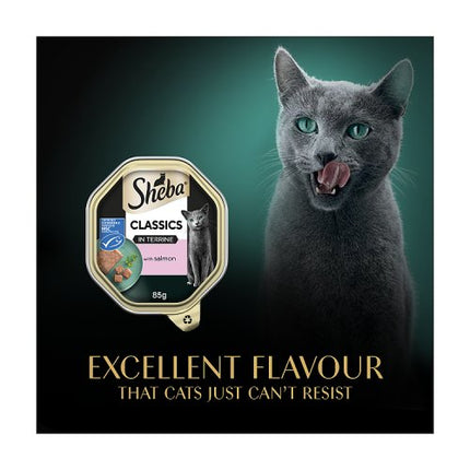 SHEBA Classics Cat Tray with Salmon Terrine 85g