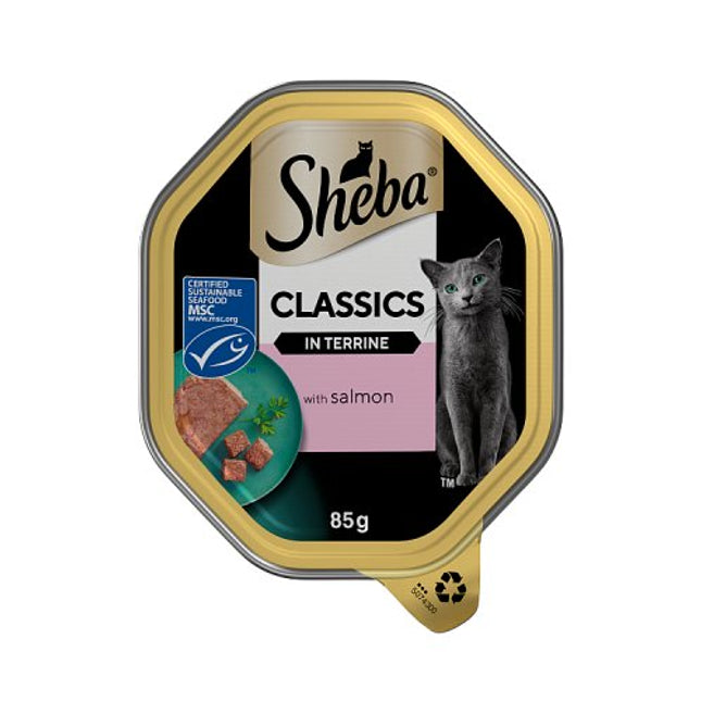SHEBA Classics Cat Tray with Salmon Terrine 85g