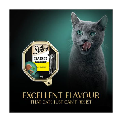 SHEBA Classics Cat Tray with Chicken Terrine 85g
