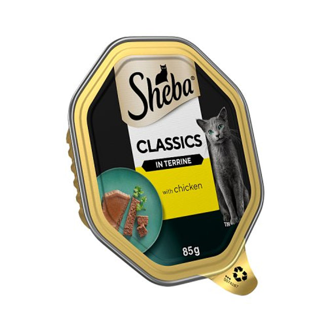 SHEBA Classics Cat Tray with Chicken Terrine 85g