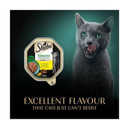 Sheba Natures Cat Food Chicken &Pepper Gravy 85g