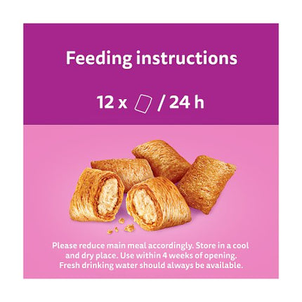WHISKAS Temptations Cat Salmon Flavour 60g