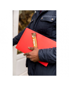 Nakd Peanut Chocolish 50g
